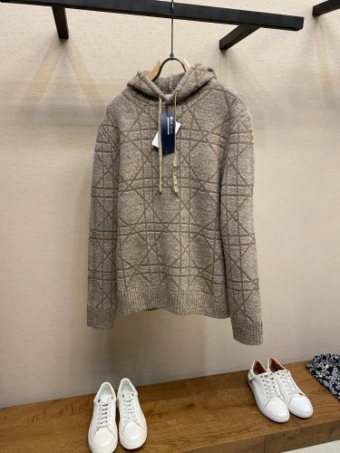 フード付き スウェットシャツ クリスチャン・ディオール パーカー コピー ベージュ