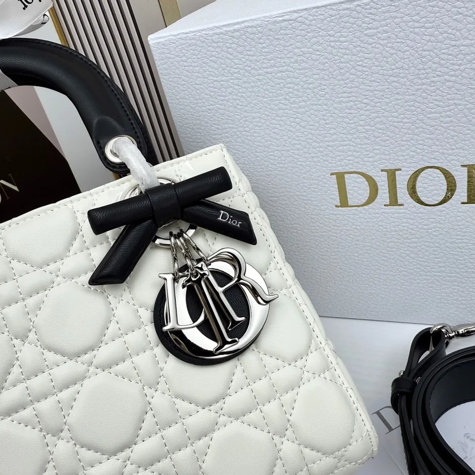 1788585524340285.webp Lady Dior ストラップ付き バッグ スモール クリスチャン・ディオール コピー バイカラー