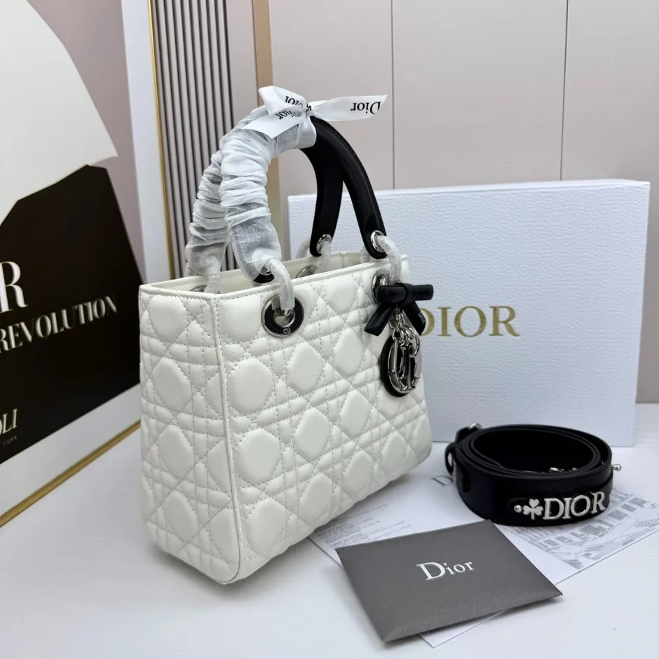 1788585526907106.webp Lady Dior ストラップ付き バッグ スモール クリスチャン・ディオール コピー バイカラー